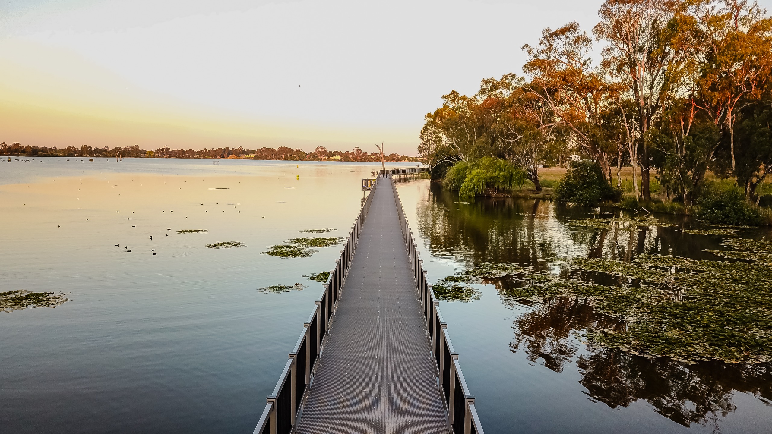 Nagambie foreshore walk